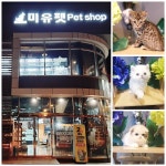 강아지분양, 고양이 분양 ‘미유펫’ 서울 강남점인천 송도점 등 동물병원 동시운영 신뢰도↑