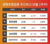 동양생명보험(주)인재개발원 | [9월 2주차 생명보험 업종 리포트] 주요 종목 미래에셋생명, 동양생명, 삼성생명, 오렌지라이프 등…다음주 상승 종목은?