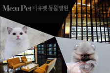 미유펫 애견샵, 고양이분양&강아지분양 시 꼼꼼한 케어와 체계적인 건강관리 시스템으로 반려인들 주목