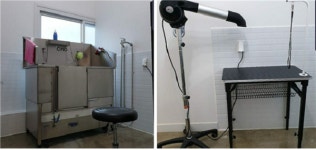 대구·경북 애견분양 및 미용 전문 ‘영천 애견미용’, 다양한 반려동물 서비스 제공