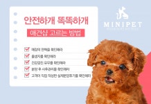 강아지,고양이분양 ‘미니펫‘ 안전한 애견샵 고르는 기준 밝혀