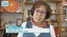 제주 감귤 체험 ‘노형감귤체험농장’, 당유자차부터 무농약귤잼 만들기도 인기