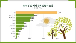[TOPIC] 삼림벌채 후 나무 사라지는 이유...균일한 풍경 위해 자연이 한 일