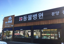 신뢰할 수 있는 가정 위탁 분양 더펫 동물병원에서 진행