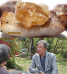 최불암, 벌집 올린 삼겹살에 극찬 “사랑과 같은 맛”