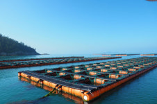 나는어부다참전복 진도전복, 지리적표시제 인증