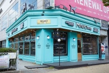 부천, 강남 고양이,강아지 분양업체 미니펫 황종만대표 유기동물 해결방안은 분양에서 답을 찾아야