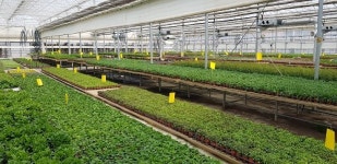 꽃 향기 가득한 편의점 샛별이 종방 촬영지는 공개