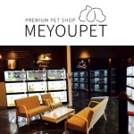 강아지분양 애견샵 미유펫 보유 반려동물 300여마리 무료키트검사