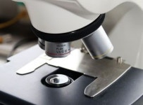 텔콘알에프제약, 미 FDA 엠마우스 게실증 치료 임상연구시험용 신약신청 승인