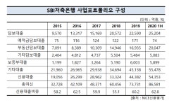 [저축銀 긴급점검] 투자금융 강자 SBI, 신용대출 확대 몰두