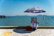 시화MTV 아쿠아펫랜드 현장 가보니