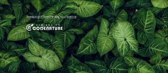 코드네이처, 의무보유 기간 경영권 매각 논란