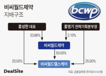 비씨월드헬스케어, 홍영기 승계 지렛대 되나