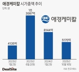 외형축소 덫 애경케미칼, 저평가 탈출 돌파구는