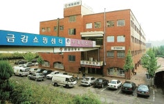[유통업계 부동산 운용전략] 47년 묵힌 압구정 상가…현대百그룹 지주사 밸류업 열쇠로
