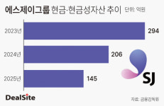 유동성 마른 에스제이그룹, 자체 브랜드 키우기 빨간불