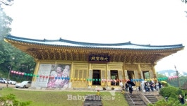 [화보] 금빛 법당 수국사의 부처님 오신 날 풍경