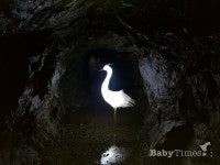 폭염이요? 광명동굴은 추워요~