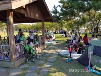 도심 속 갯벌 시흥갯골생태공원의 가을