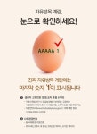 자유방목 계란 고르는 법 계란 껍질 위 마지막 숫자 1