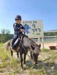 말과 교감을 나누는 승마체험장 프리지언클럽