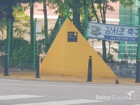 어린이 안전 지켜주는 옐로카펫 전국 880여개 그쳐