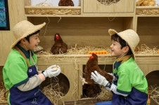 키자니아 부산, 풀무원 동물복지 달걀 농장 체험 오픈