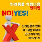 반려동물과 차량 이동시 체크할 것들, 범칙금 확인 등