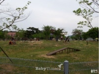 [공감! 반려동물] 용인시 기흥호수공원 도시숲과 반려동물 놀이터