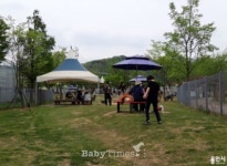 [공감! 반려동물] 용인시 기흥호수공원 도시숲과 반려동물 놀이터