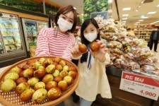 [오늘의 쇼핑] 사과대추부터 약국화장품까지 이마트, 롯데백화점, 한미약품 프로-캄, 스파오, 에잇세컨즈