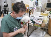 [인터뷰] 쿨펫 구길주 원장 반려동물을 장난감처럼 살 수 있는 게 문제