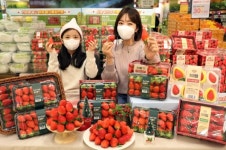 [오늘의 쇼핑] 면세할인부터 딸기까지 현대백화점면세점, 이랜드, 쿠팡, 롯데마트, 이마트