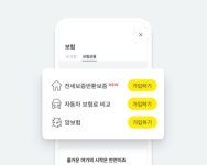 손해보험업 진출하는 카카오페이...보험권, 경쟁 새 바람 불까
