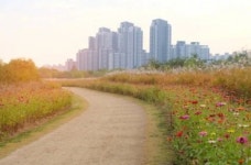 한강공원 녹지관리 기간제 근로자 112명 채용