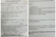 포블게이트 상장 컴페니언펫코인(CPC) 시세조종 확인 충격