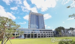 전라북도, 21년 심심산골 나물산업 육성사업에 진안 머위나물 선정