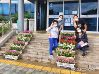 북경주행정복지센터, 연분홍 여름 꽃으로 물들다