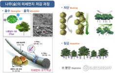 전북도, 미세먼지 차단 숲 조성으로 생활환경 개선에 나서