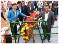경상북도한우홍보판매관 | 경북도, '2021 경상북도 한우경진대회' 개최