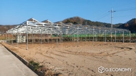 경북도, 영농형 태양광에 적합한 약용작물 재배 첫 연구