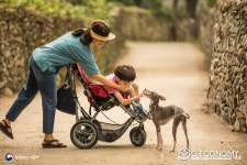 경북도, 동물사랑사진 전시회 개최