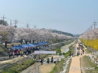 영주시, 제3회 원당천 어린이 벚꽃 그림잔치 개최