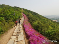김포시, 숲길정비 및 자연휴양림 조성, 산림교육 등 사업 박차