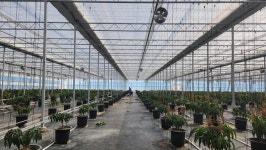 경영실습 임대농장 청년 농업인 모집