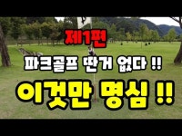 찰스문의 파크골프 레슨1