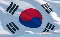 [COLUMN] 급할수록 정도(正道)로 가야 한다