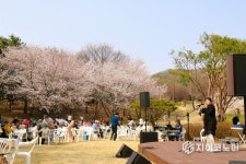청춘으로 돌아간 하루… 삼성노블카운티, 어르신 위한 봄맞이 벚꽃축제 성료