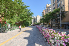 양천구, 20년 지난 “신월동 걷고 싶은 거리” 보행자 중심 명품거리로 새단장